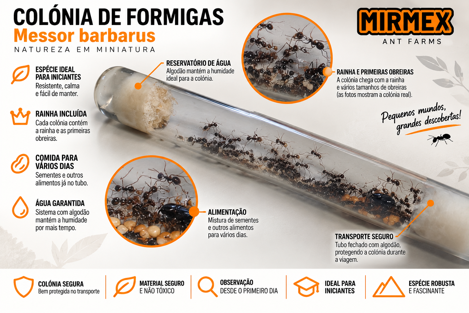 Kit Médio Completo — Verde